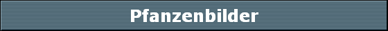 Pfanzenbilder